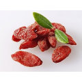 Ningxia Goji Berry / Wolfberry Obst / Chinesische Mispel